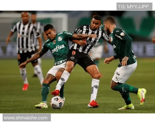 巴西佩洛塔斯迎战戈亚尼亚竞技双方实力对比及赛前分析