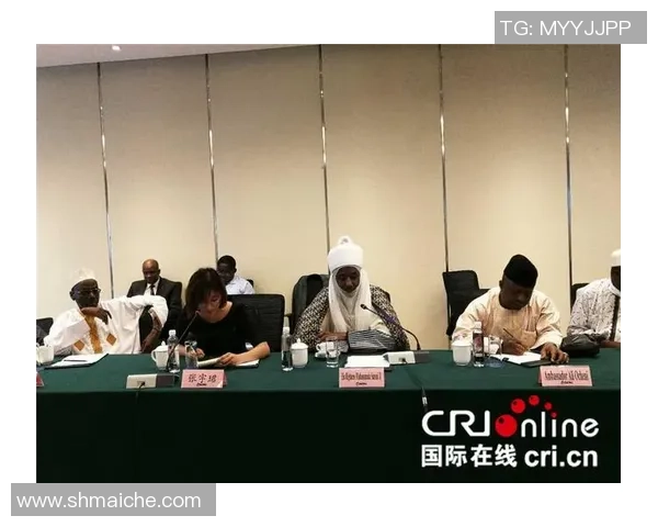 美国与尼日利亚20岁青年对比分析探讨两国文化与发展差异