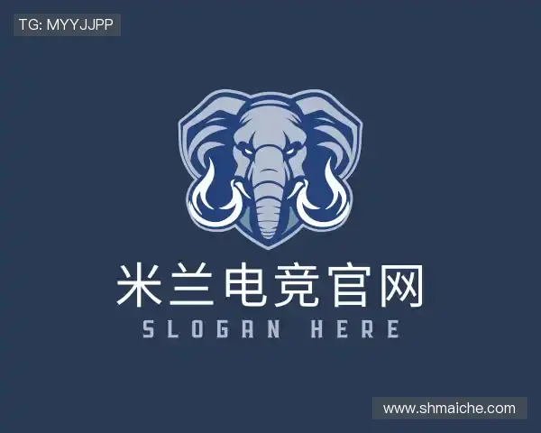 认识米兰电竞官网